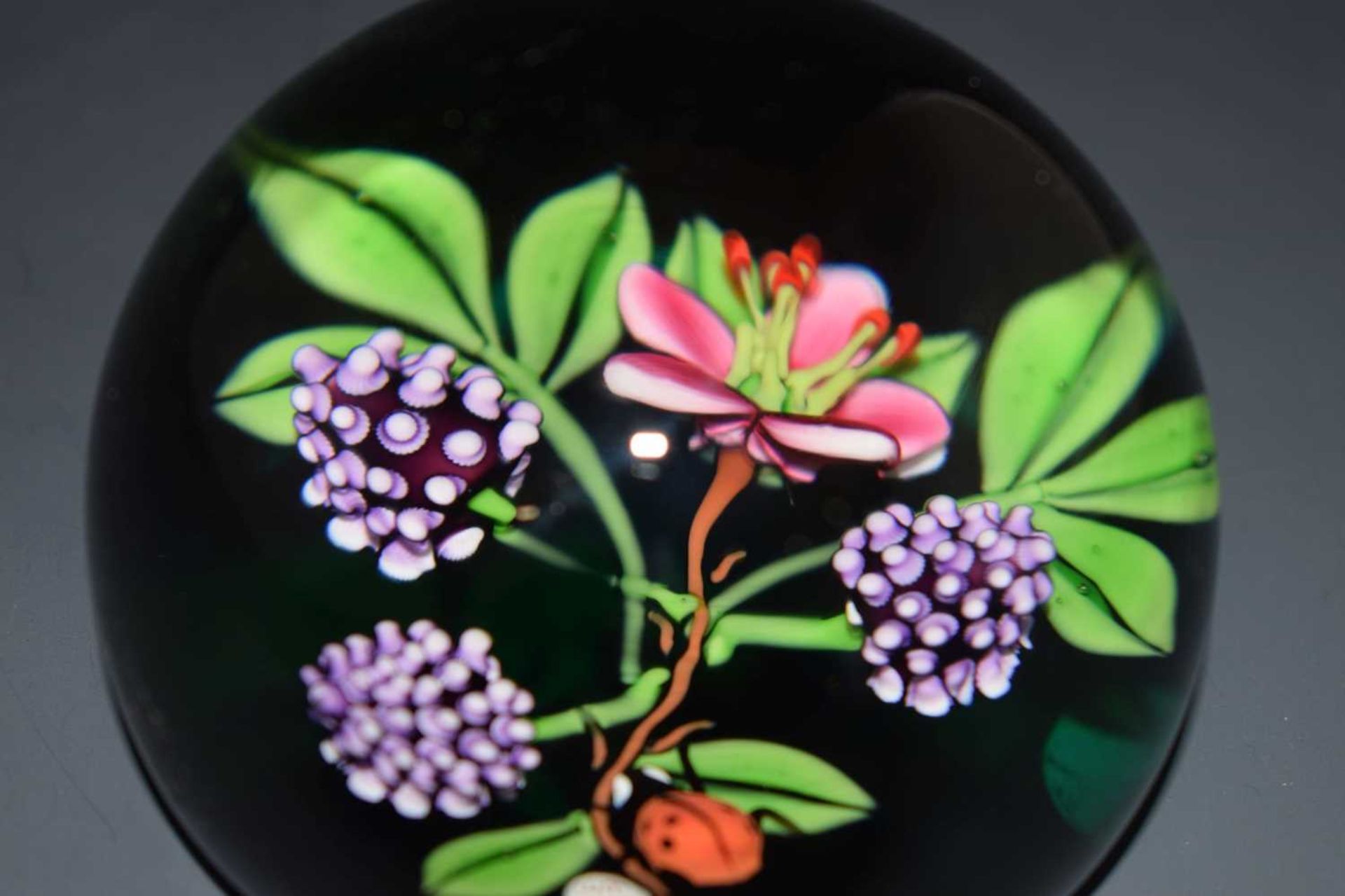 William Manson (Scottish) - Limited edition glass paperweight - Image 3 of 9