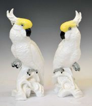 Pair of Crown Staffordshire porcelain cockatoos, and two others