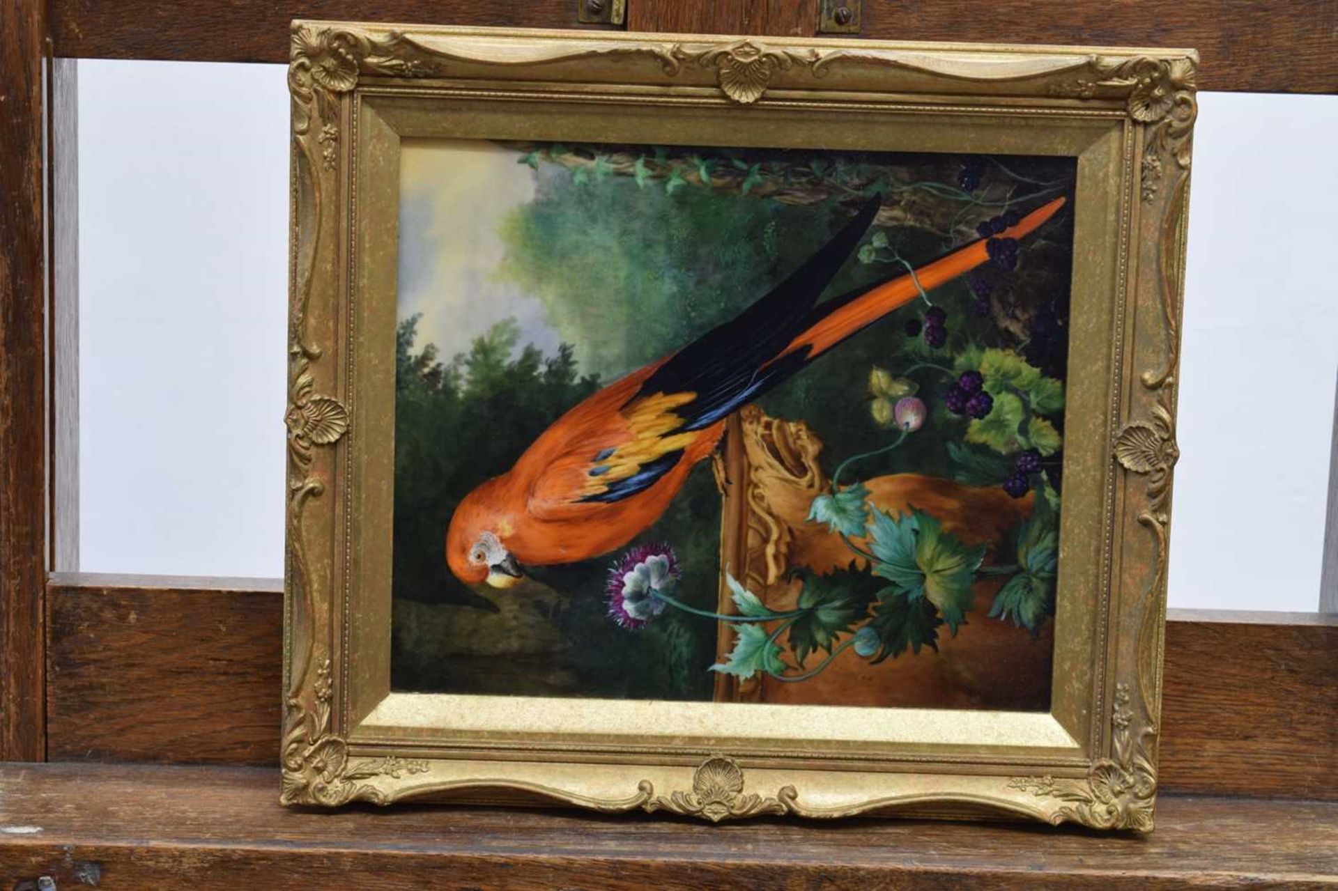 Follower of Jacob Bogdani - Painted plaque - Scarlet Macaw - Image 2 of 13