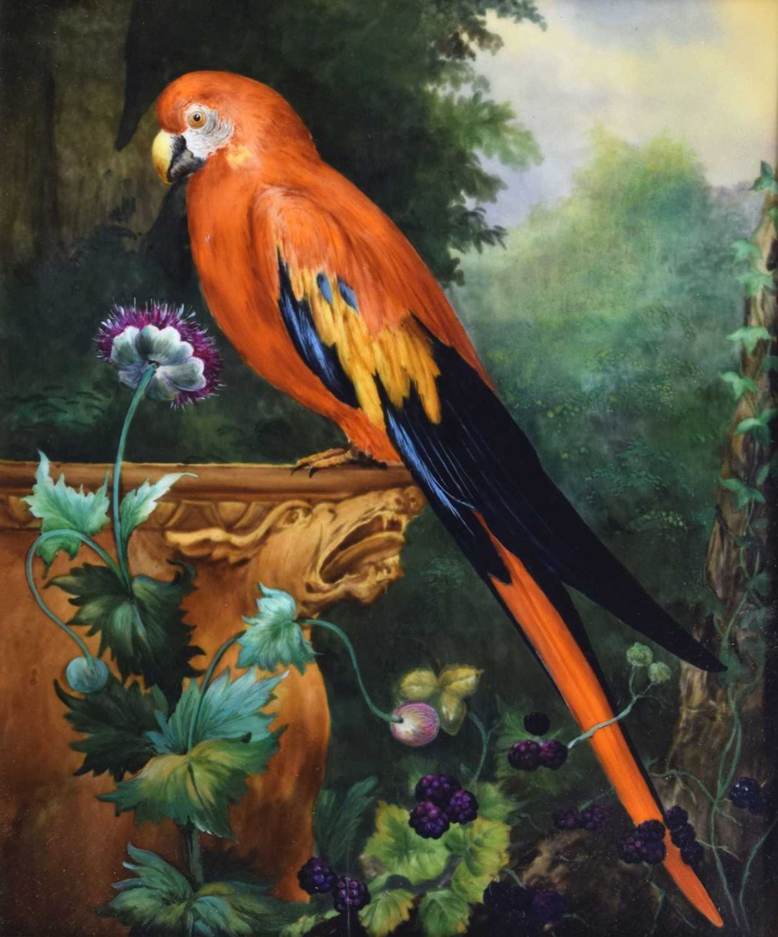 Follower of Jacob Bogdani - Painted plaque - Scarlet Macaw