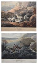 After Philip Reinagle, ARA. – Two 19th century coloured aquatints