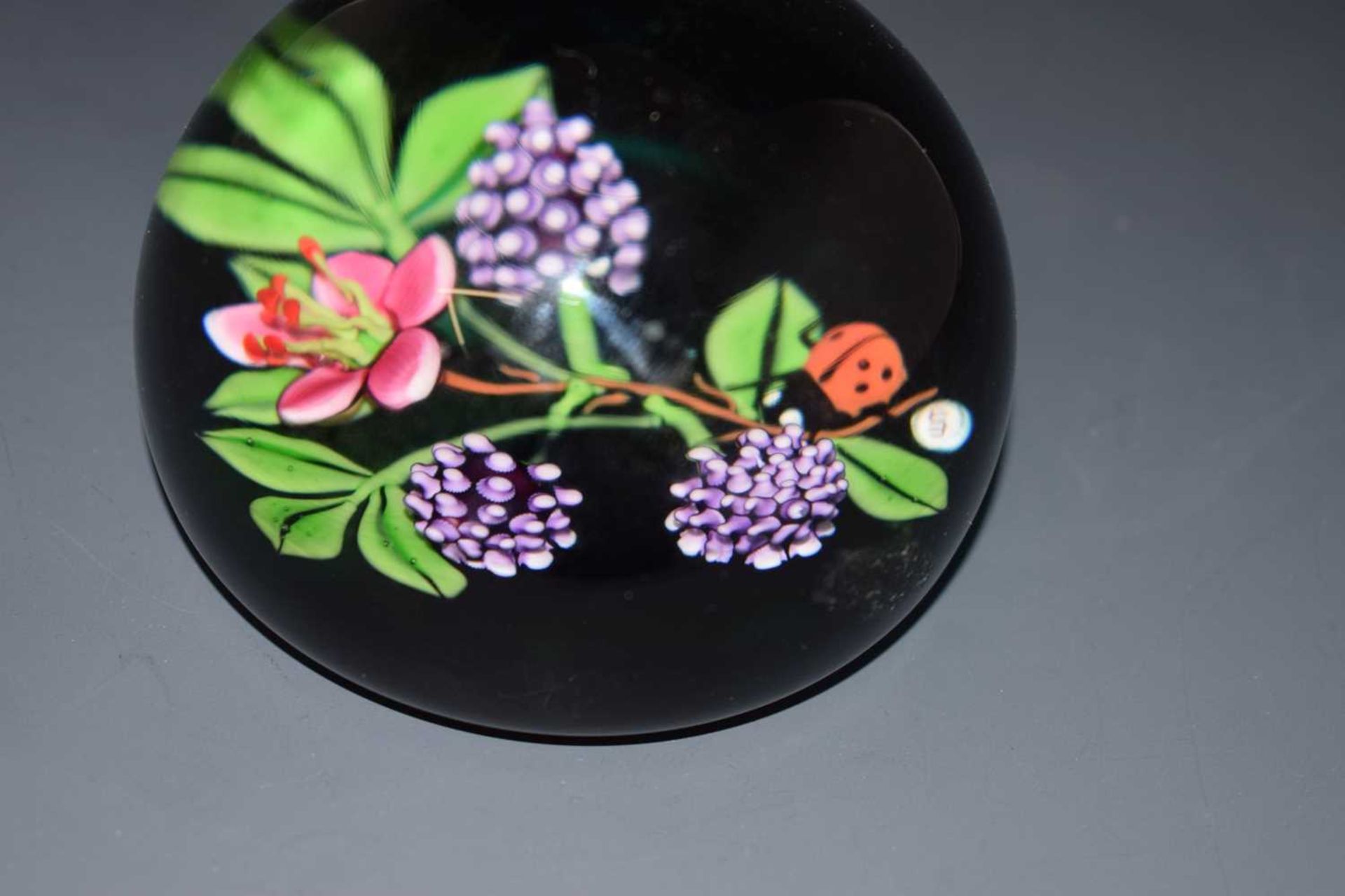 William Manson (Scottish) - Limited edition glass paperweight - Image 6 of 9