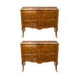 Pair of chests of drawers in various woods