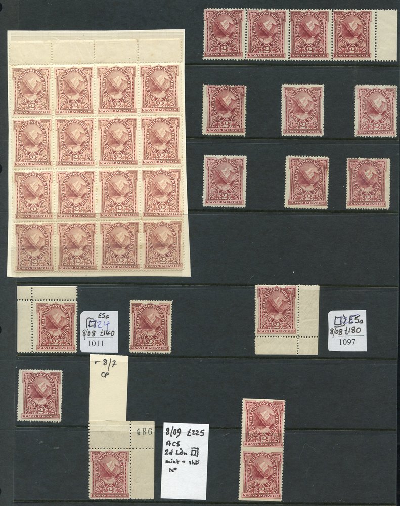 1898 2d Pembroke Peak, a lovely selection with UM block of 16 (unplated) in an unusual pale shade (