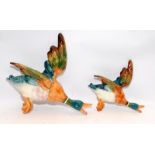 Two Beswick Mallard wall plaques, one large and one small, larger one is 27cms across. Both have