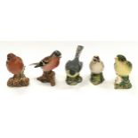 Beswick collection of bird figurines to include chapfinch, goldcrest, wagtail, greenfinch and