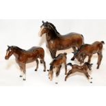 A collection of Beswick glossy Chestnut horses of varying sizes, the largest being 19cms tall.