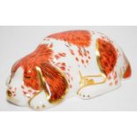 Royal Crown Derby paperweight puppy, gold stopper (cab)