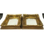 Pair of antique heavy gilded framed wall mirrors with bevelled edged glass each measuring 35x40cm.