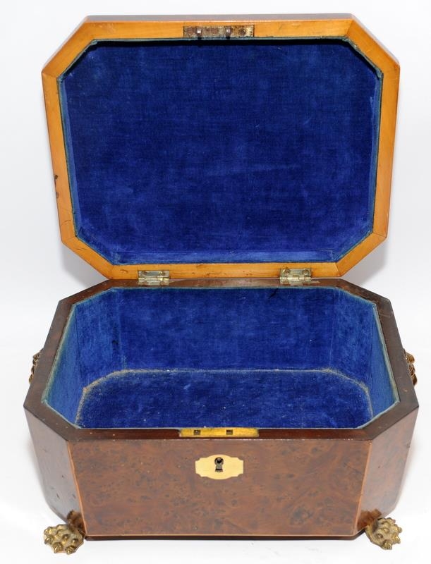 Attractive Regency letter/document box with brass feet and lions head handles. Interior lined with - Image 3 of 4
