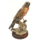 Giuseppe Armani large hawk figure on wooden base 39cm tall.