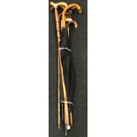 Selection of walking canes 3 with silver collars together with an umbrella.