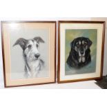 Two large chalk portraits of dogs, both signed and dated by the artist. Frame size 59cms x 49cms