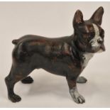 A cold painted bronze Boston terrier dog figure.