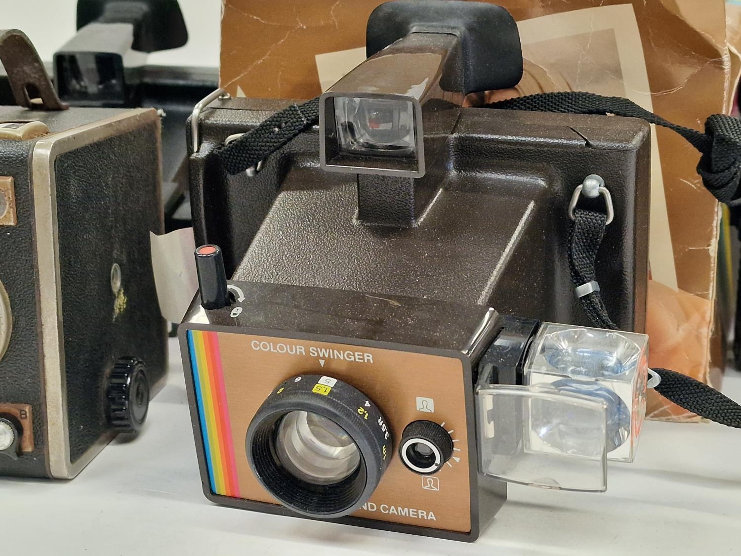 Collection of vintage cameras and equipment to include Polaroid instant cameras. - Image 2 of 4