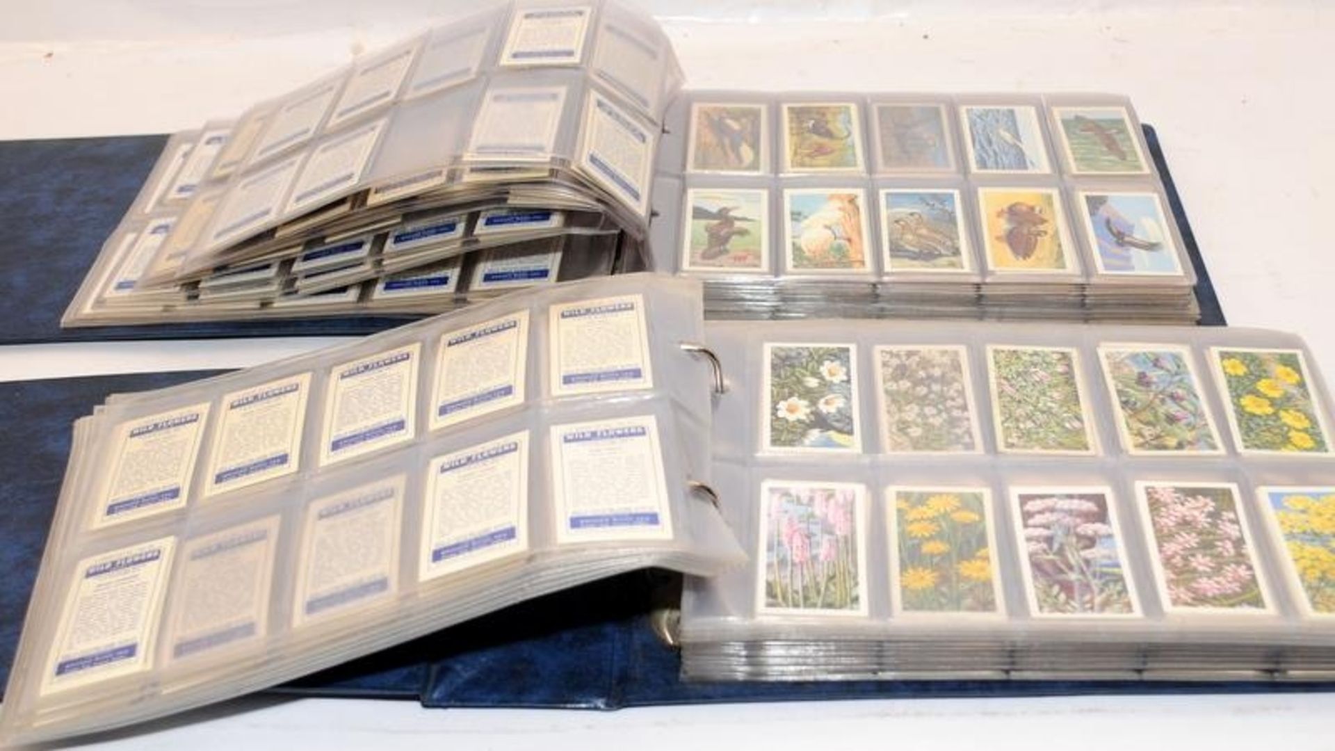 Large quantity of tea cards including 2 x full albums - Image 3 of 3