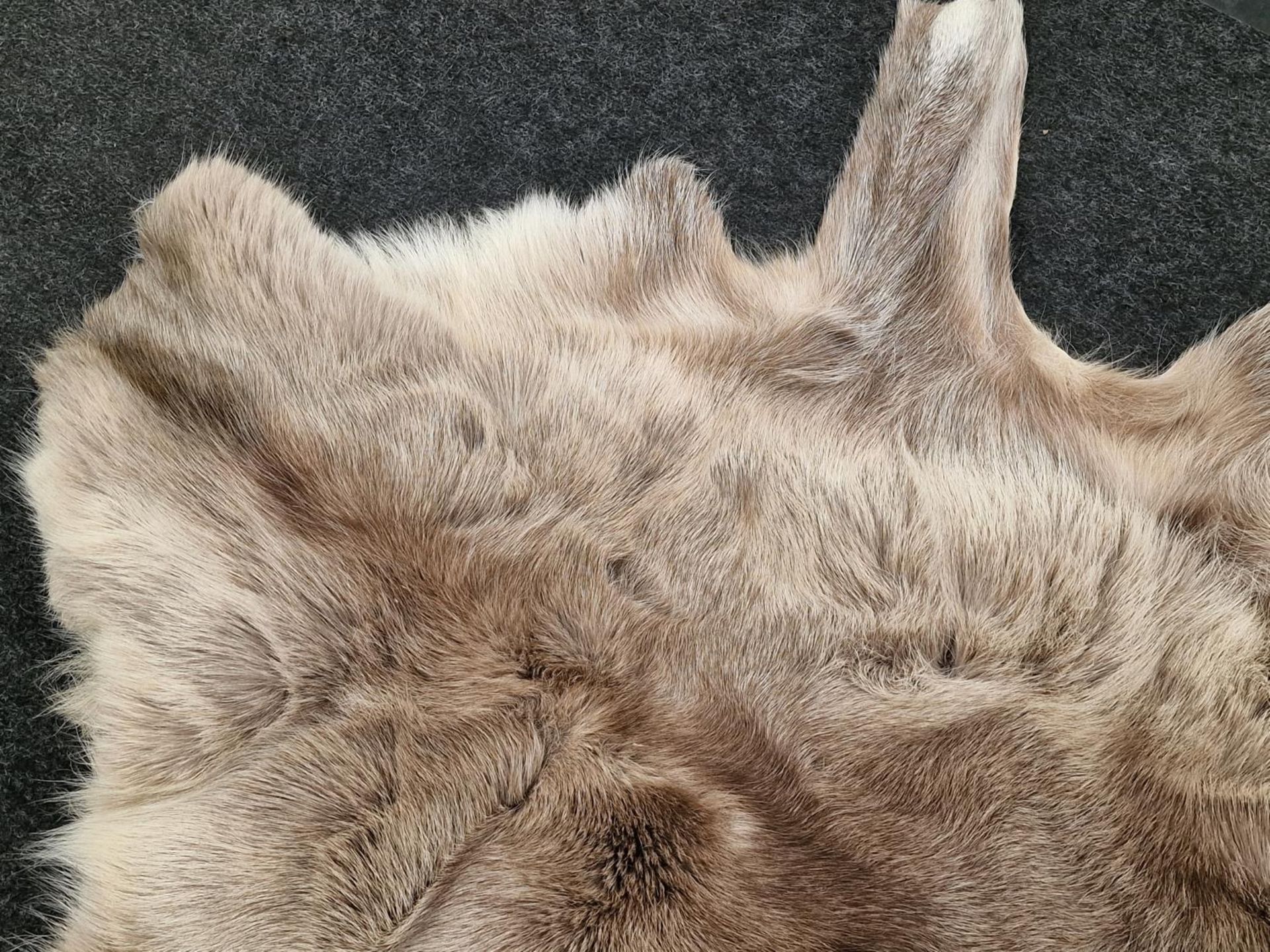 A real fur skin rug 135x117cm approx. - Image 3 of 4