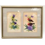 Pair of bird feather pictures housed in single frame signed by the artist 36x28cm.