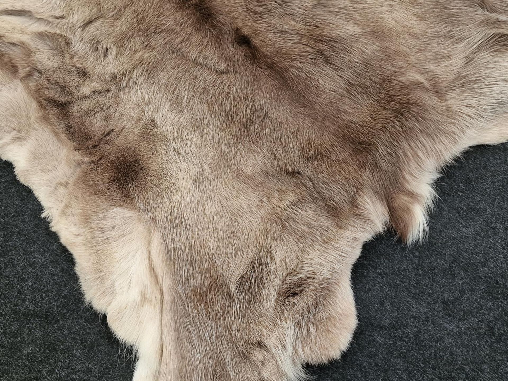 A real fur skin rug 135x117cm approx. - Image 2 of 4