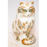 Large Royal Crown Derby Fifi the Persian Cat paperweight. Gold stopper