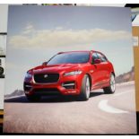 Direct from Jaguar Landrover Promotional back drop from the car show. Screen printed canvas on