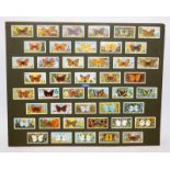 Collection of butterfly cigarette cards mounted on card