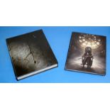 Collectors editions hardback books Bloodborne and Bloodborne - The Old Hunters game guides