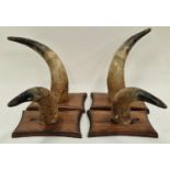 2 x Pairs of Mounted cattle horns