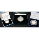 Royal Mint silver proof piedfort double thickness QM Crown coin c/w 1994 Silver proof One Pound