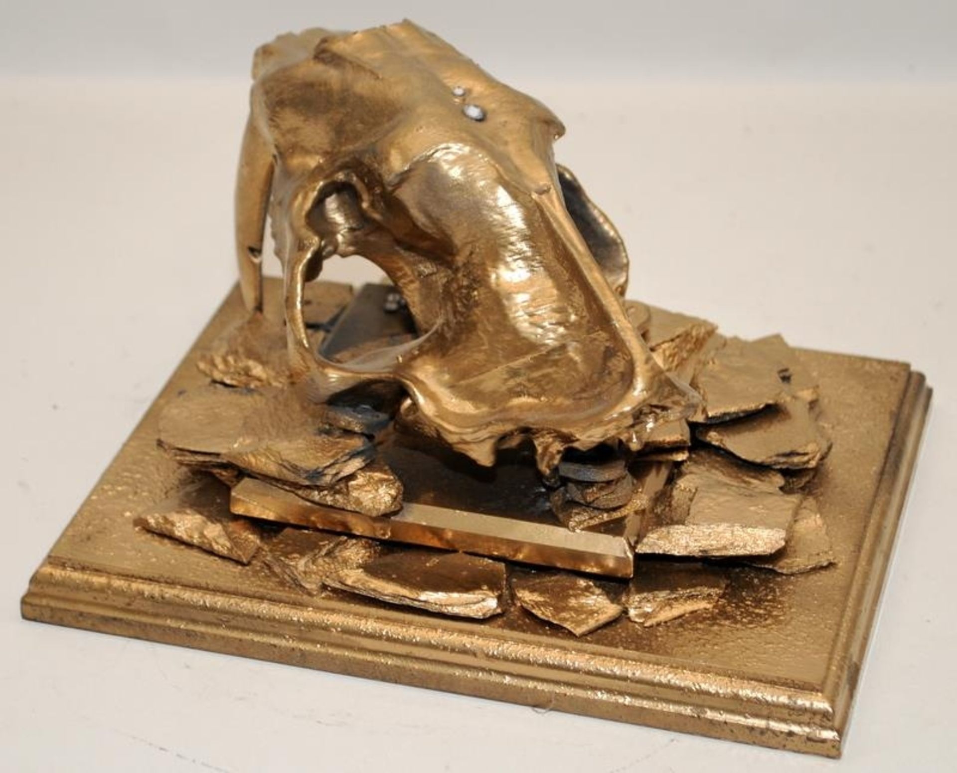 Contemporary art sculpture. Model Sabre Toothed Tiger skull painted gold and mounted. Can be - Image 3 of 4