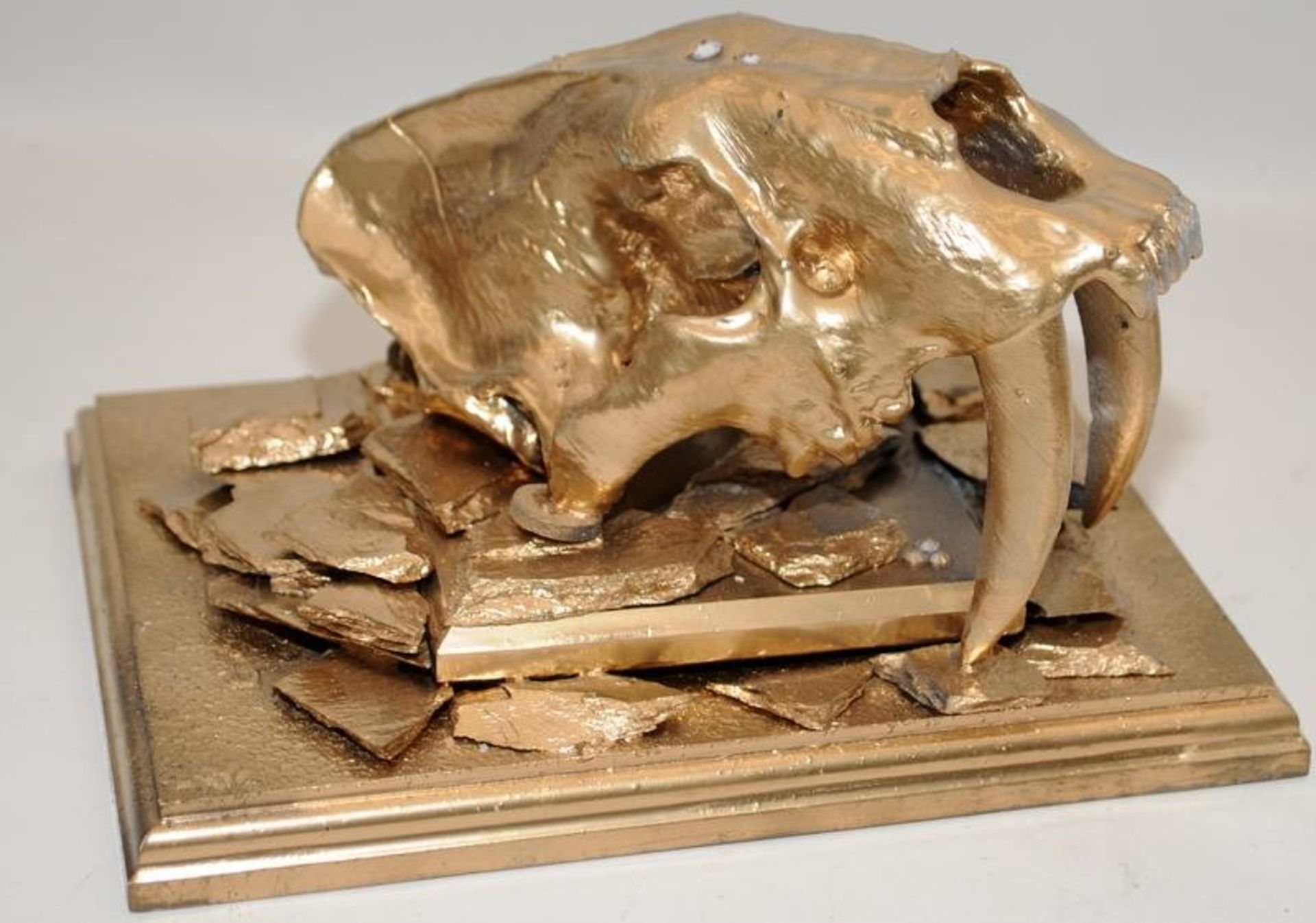 Contemporary art sculpture. Model Sabre Toothed Tiger skull painted gold and mounted. Can be