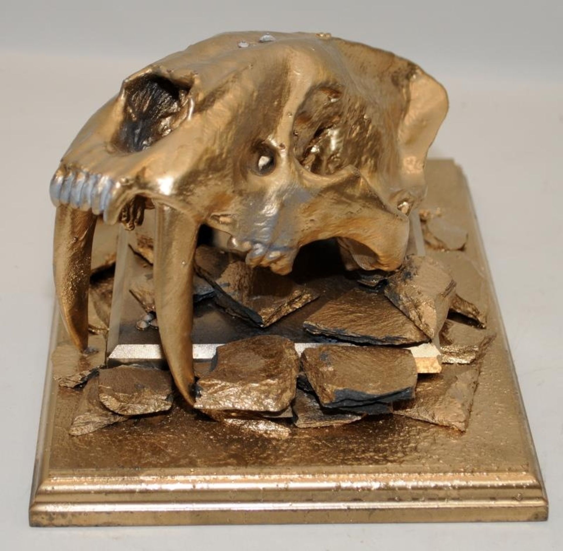 Contemporary art sculpture. Model Sabre Toothed Tiger skull painted gold and mounted. Can be - Image 2 of 4