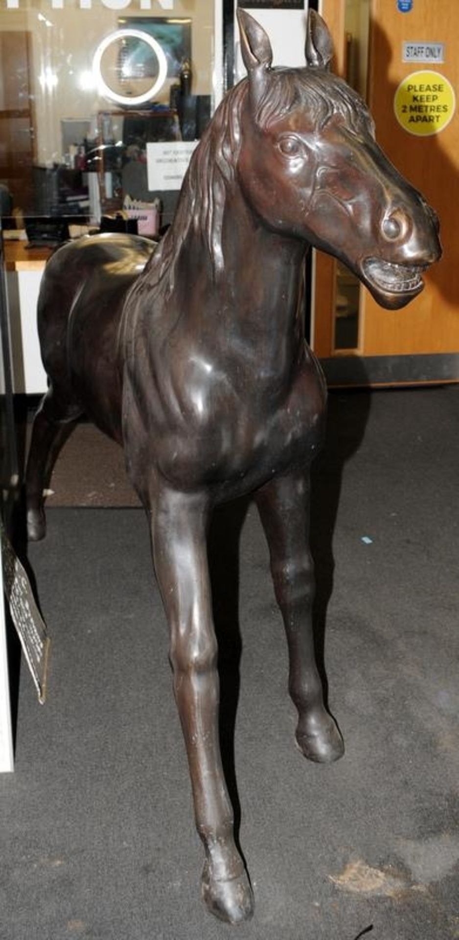 Half (?) life size sculpture in bronze of a horse 160x180x40cm - Image 3 of 5