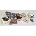 Collection of assorted fossils and crystals.