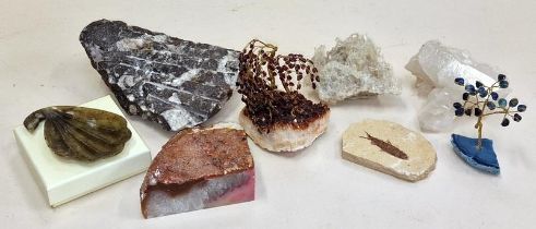 Collection of assorted fossils and crystals.