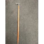 A jaguar walking stick (174)