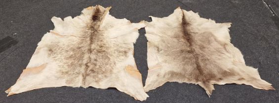 Pair of vintage fur deer hides.