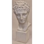 A large plaster bust of a Roman man 61cm tall.