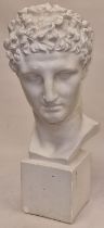 A large plaster bust of a Roman man 61cm tall.