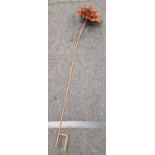 A Flower head and base (033)