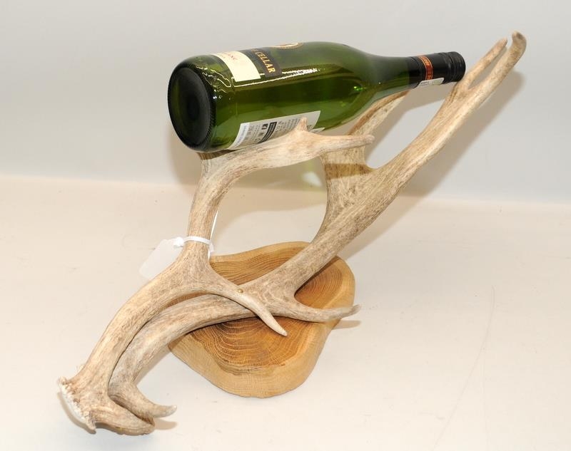 Mounted antler on wooden plinth fashioned as a bottle holder - Image 2 of 2