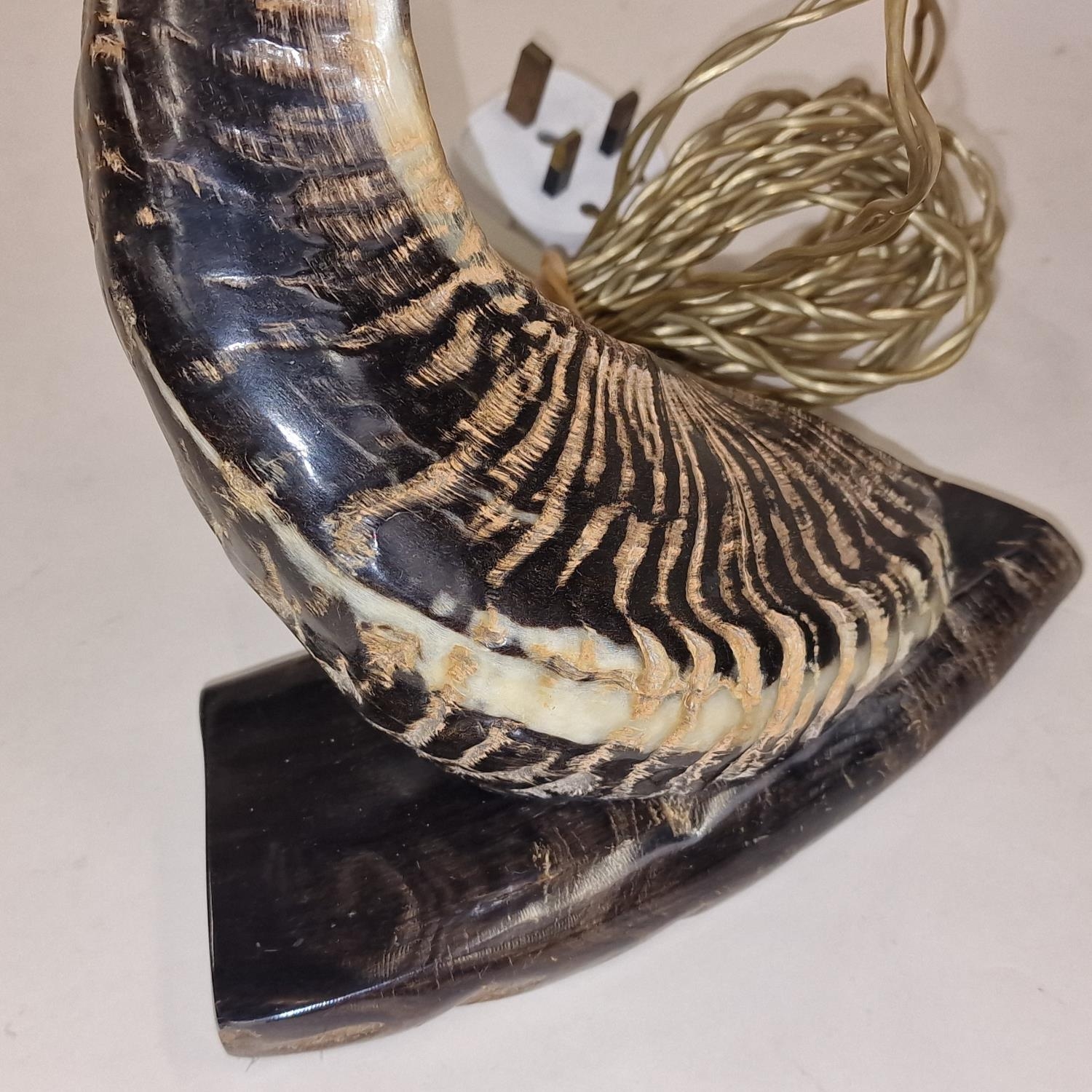 A vintage lampstand formed from an animal horn. - Image 2 of 4