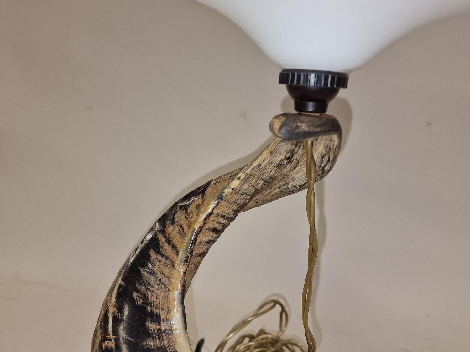 A vintage lampstand formed from an animal horn. - Image 3 of 4