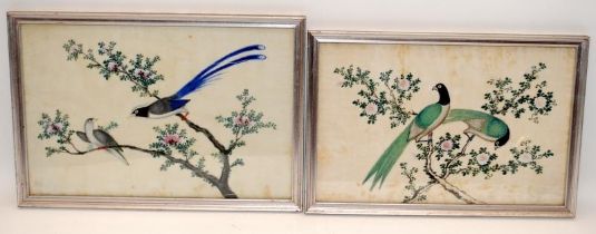 A pair of Chinese late 19th century rice paper watercolour paintings of birds, 32cm x 22cm