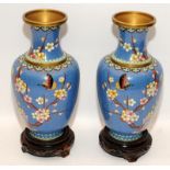 Handed pair of cloisonne vases decorated with Butterflies and Lilys set on a blue background