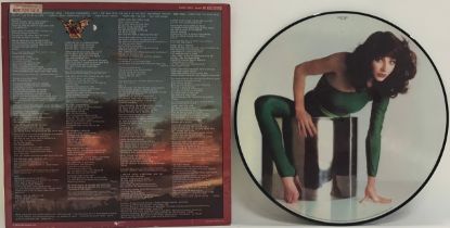 KATE BUSH VINYL ‘THE KICK INSIDE’ RARE PICTURE DISC. From 1978 on EMI ‘Factory Sample’ Records