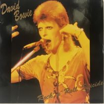 DAVID BOWIE COLOURED VINYL LP ‘ROCK ‘N’ ROLL SUICIDE’. A stunning double live LP from David Bowie