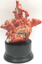 Coral sample with base 470g.