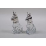 A pair of silver plate and glass salt and peppers in the form of bulldogs, 8cm high