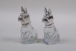 A pair of silver plate and glass salt and peppers in the form of bulldogs, 8cm high